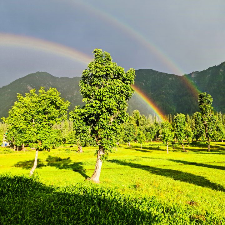 Exterior CHp 2 Wanderlust