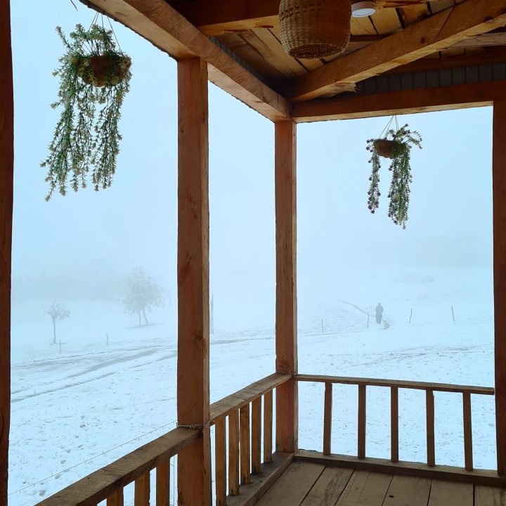 chp 1 gallery exterior 14